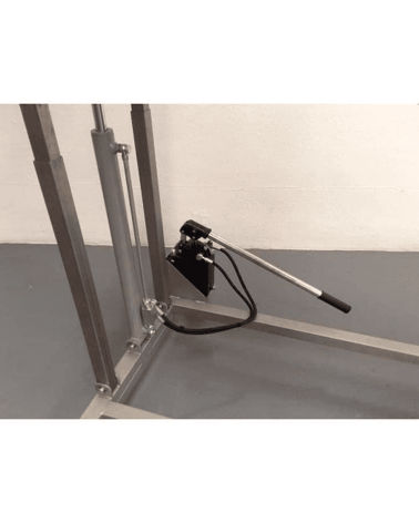 Grape belt elevator 03