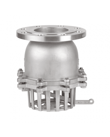 Foot check valve with DIN flange PN 16