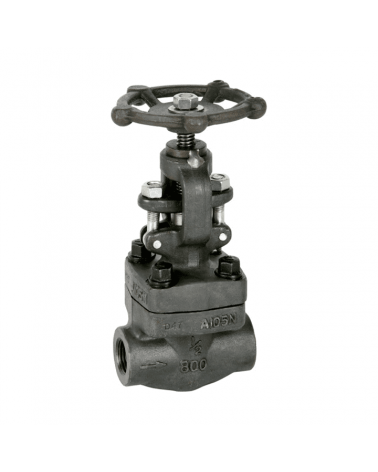 Globe valve class 800 Socket Weld ends