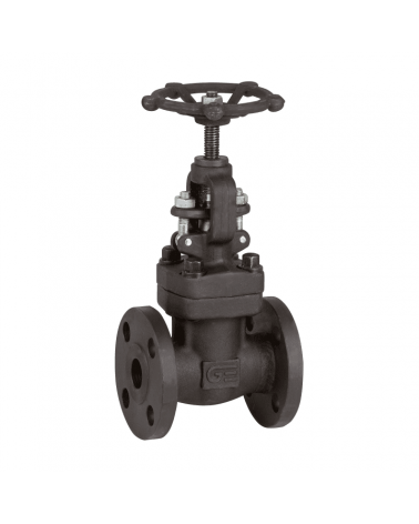 Globe valve with ANSI class 150 flanges