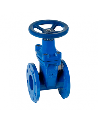 Gate valve with EPDM seals