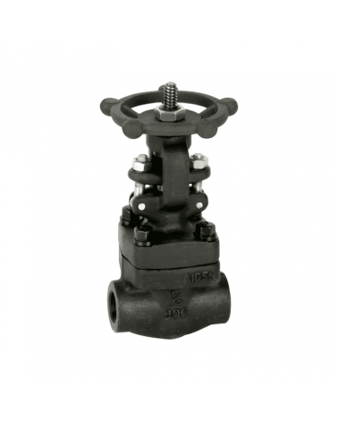 Válvula de compuerta clase 800 extremos Socket Weld