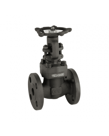 Gate valve with ANSI class 150 flanges