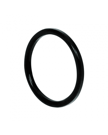 Gasket for fitting DIN 11851