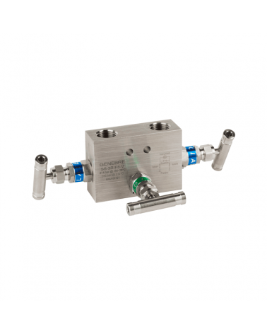 Manifolds for instrumentation - remote mounting