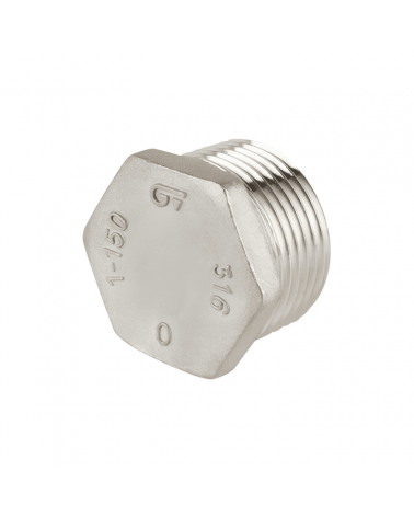 Plug with BSP thread