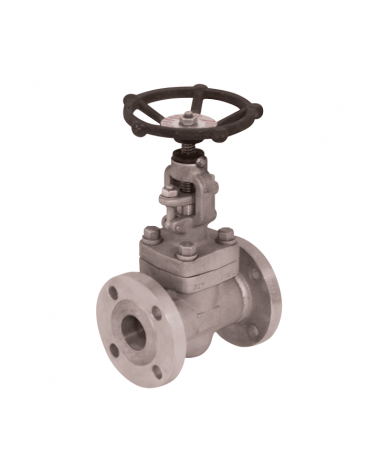 Forged globe valve