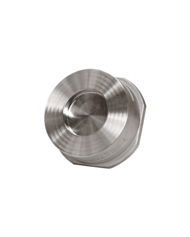 Disc check valve