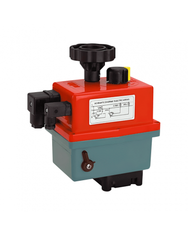 Single-phase electric actuator