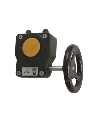Cast iron gear box with hand-wheel