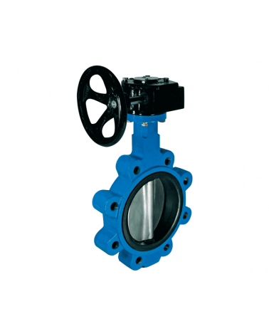 Lug type butterfly valve