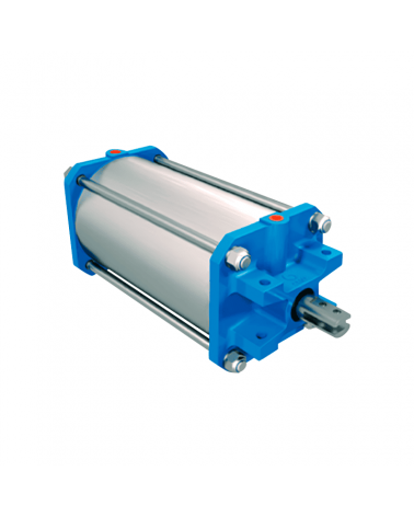 Pneumatic actuator