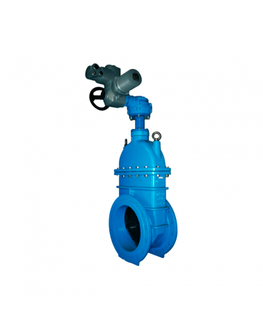 Gate valve with non-rising spindle