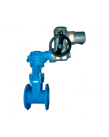 Gate valve with rising spindle