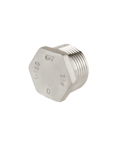 Plug with BSP thread