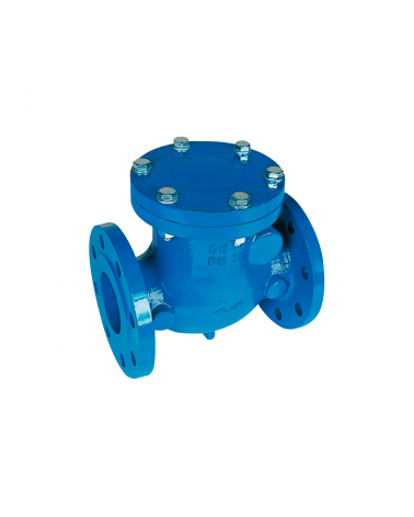 Metal flap check valve