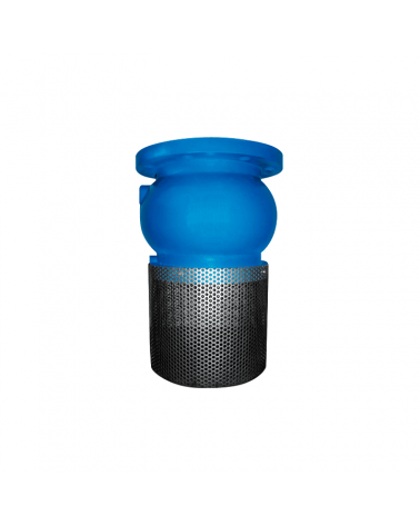 Foot valve