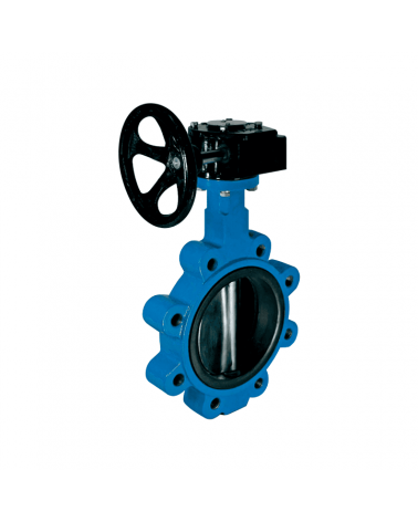 Lug type butterfly valve
